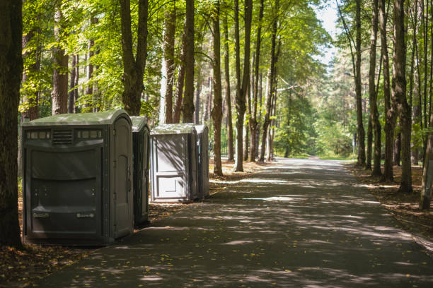 Portable Toilet Options We Offer in Roseto, PA